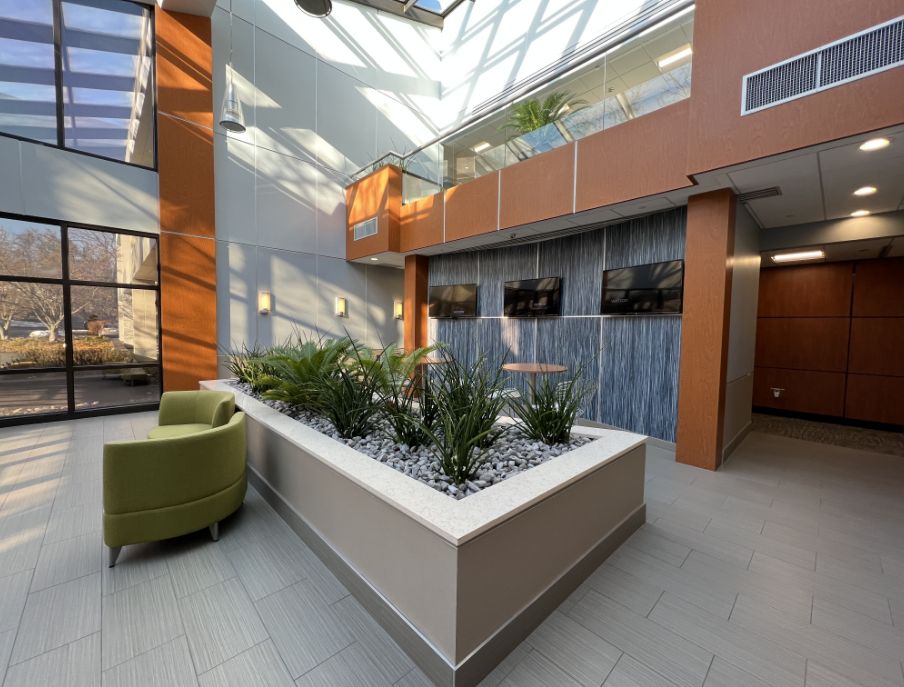 an image of another angle of internal garden