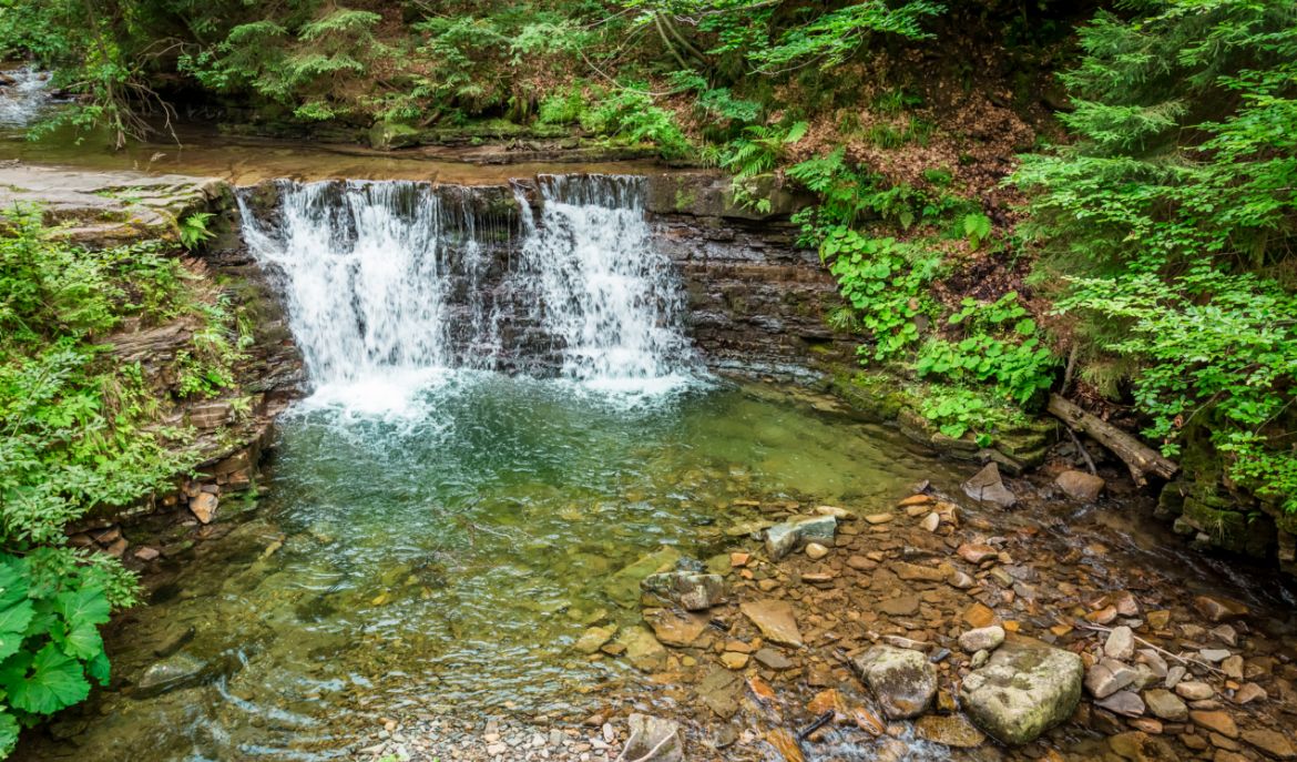 an image of the Scherman Hoffman Sanctuary showing a waterfall in the middle of a beautiful natural landscape with trees and leaves 